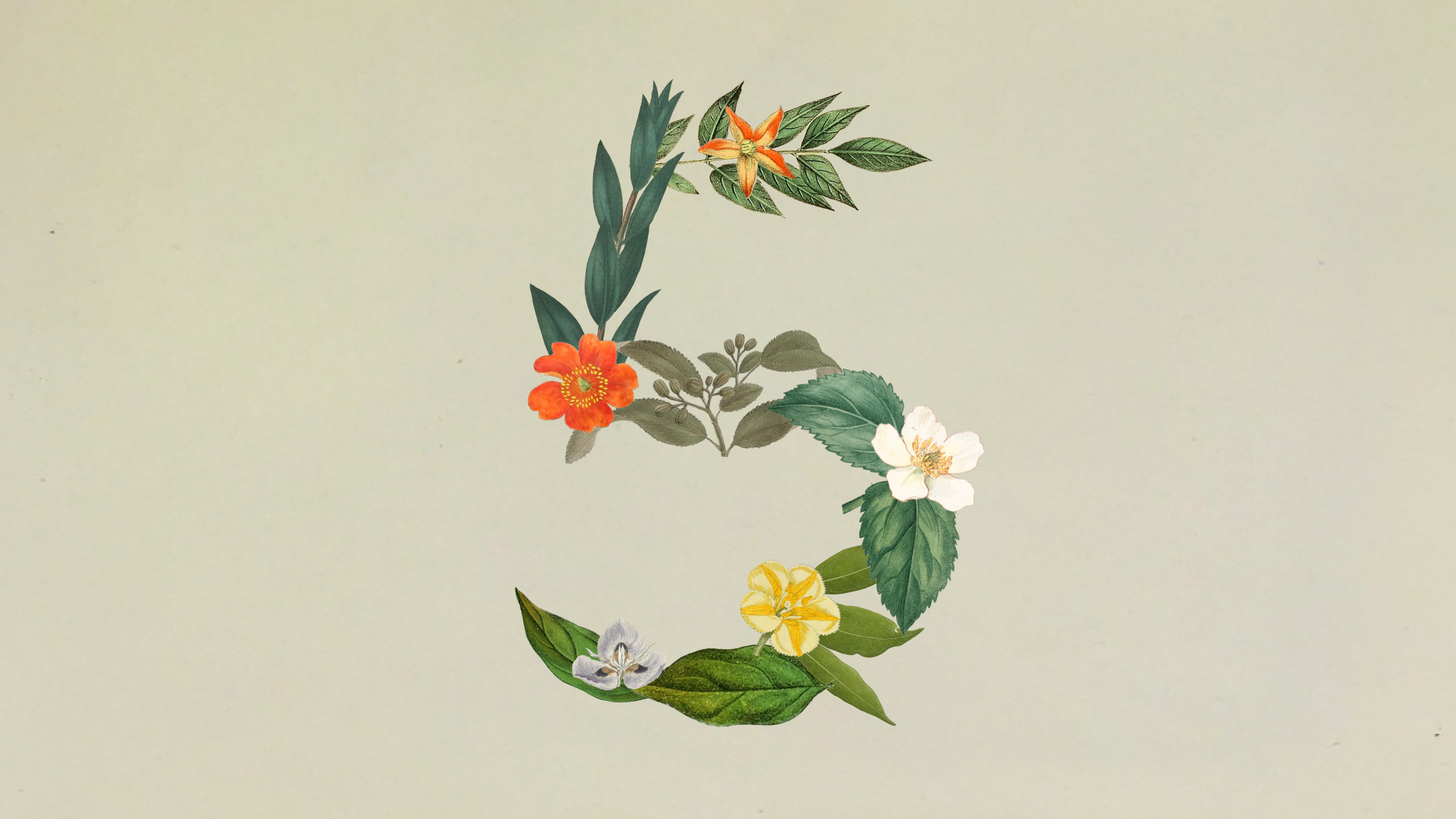 Claude Sonnet 5 官方宣传图 — 由花朵与叶子组成的数字 5 | Anthropic